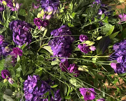 purple spray