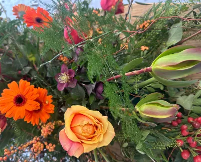 orange spray 3