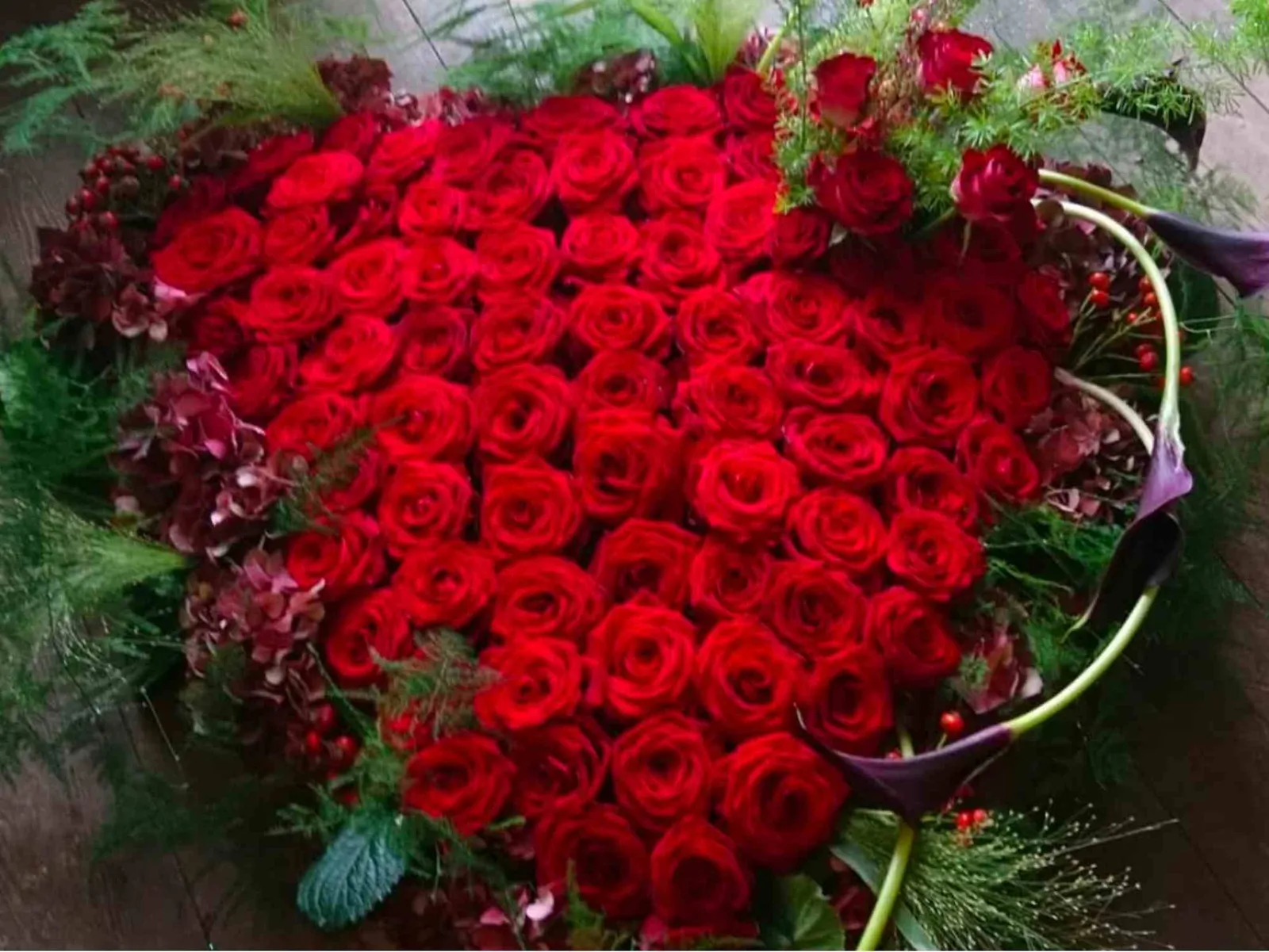 roses heart