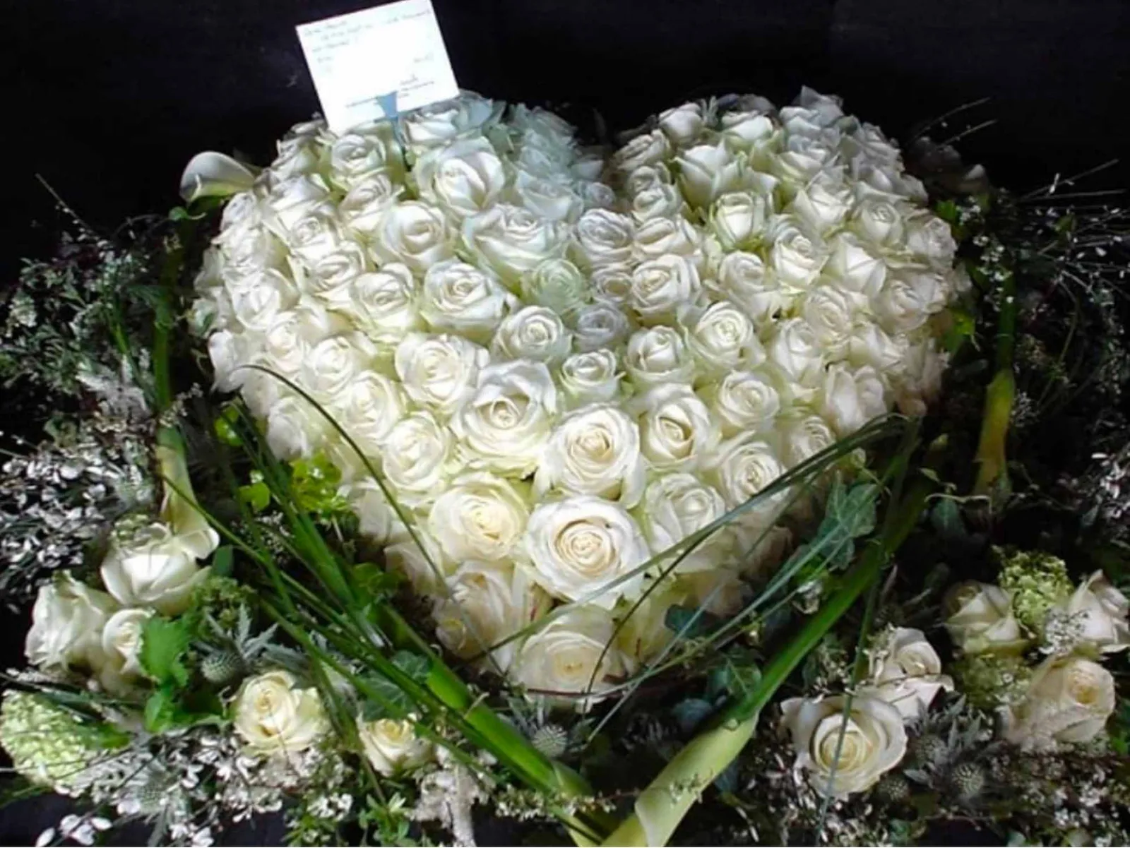heart-white